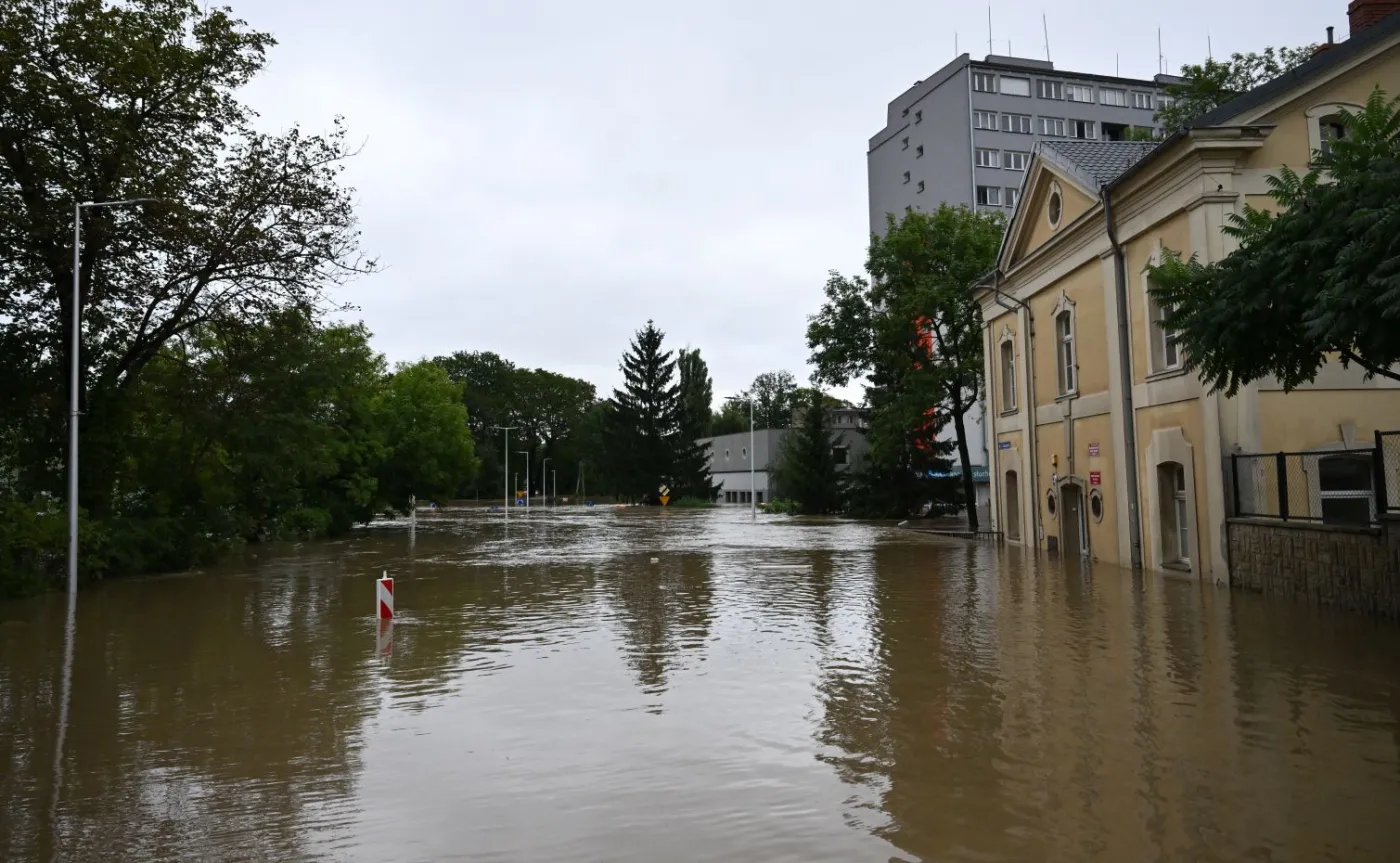 Szef sztabu ogłasza wojnę z szabrownikami. "Wysyłamy żołnierzy z noktowizorami..."
