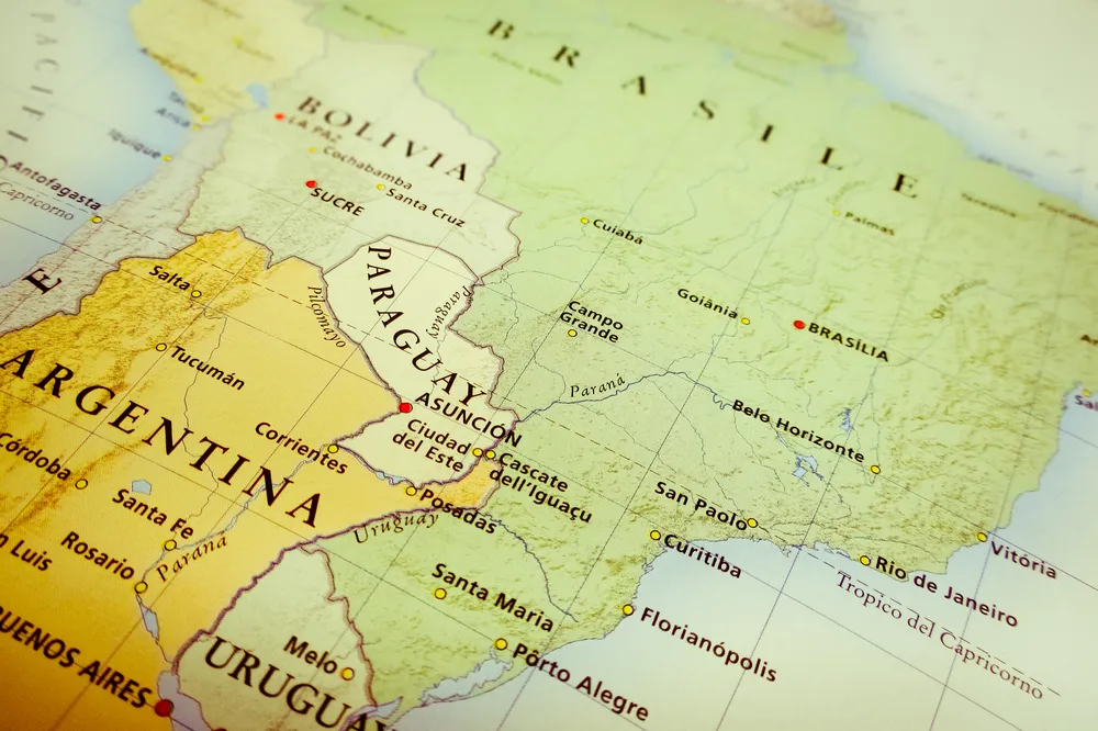 Starcie lustrzanych populizmów [ANALIZA]