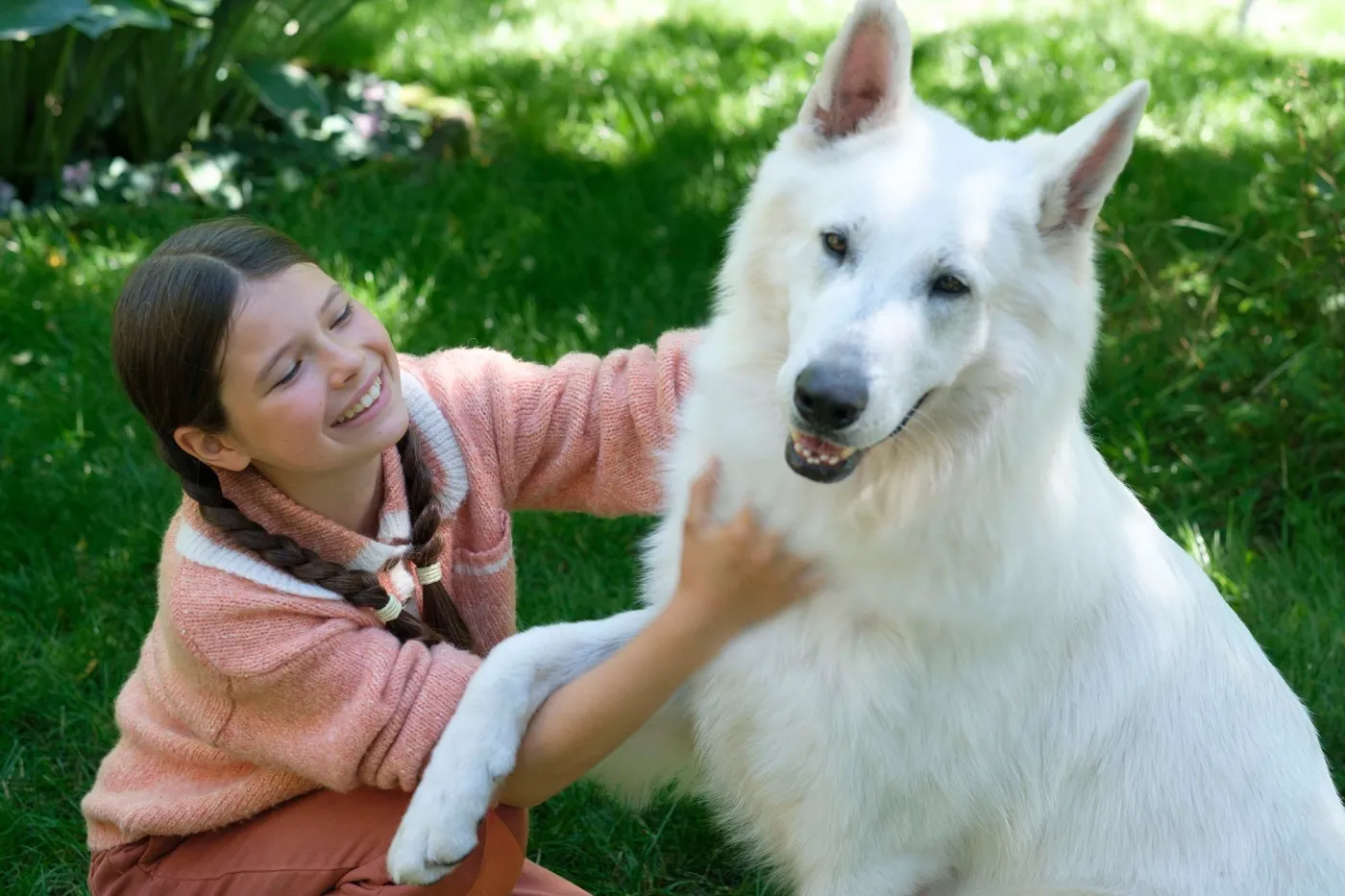 "O psie, który jeździł koleją"