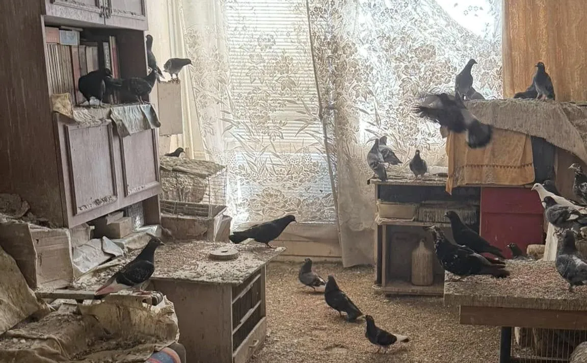 Szokująca interwencja w Toruniu. To, co policjanci znaleźli w mieszkaniu, poraża [NAGRANIE]