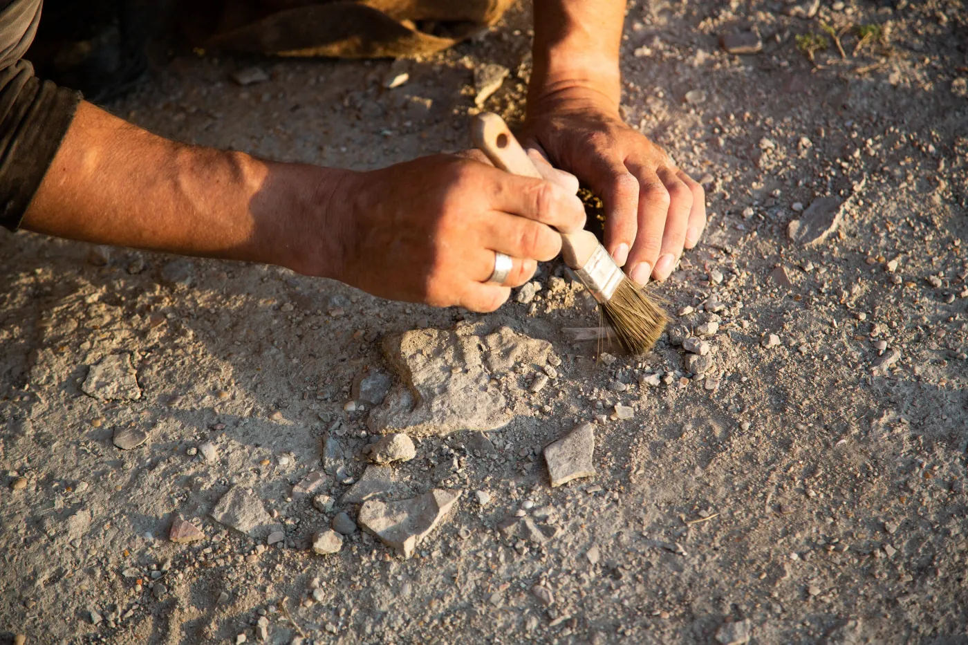 Niezwykłe odkrycie w Warszawie. Archeolodzy odsłonili fragment przedwojennego ogrodu MSZ
