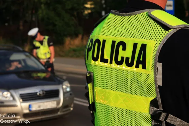 Koniec używania takiej nawigacji. Policja: Za to jest 12 punktów i wysoki mandat