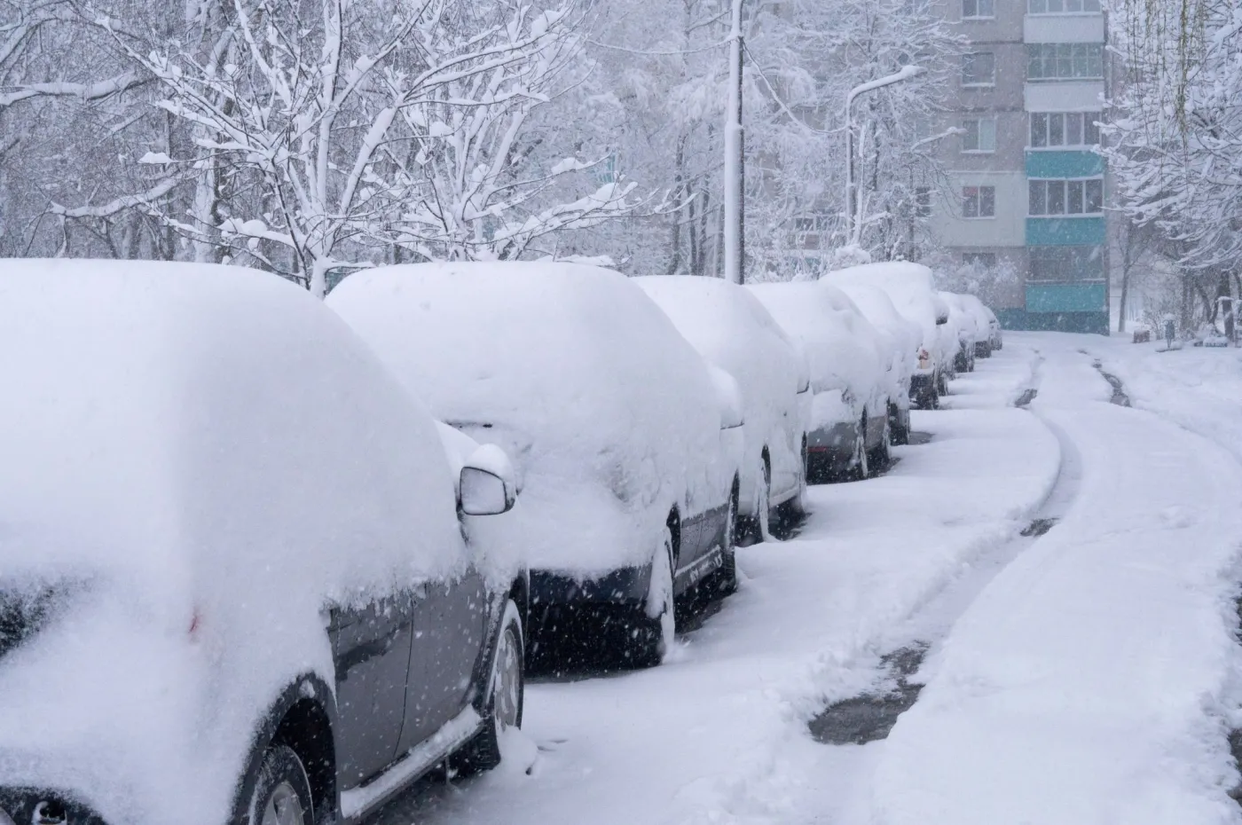 IMGW zmienia prognozy. Grudzień zaskoczy Polskę - nikt się nie spodziewał takiej zimy