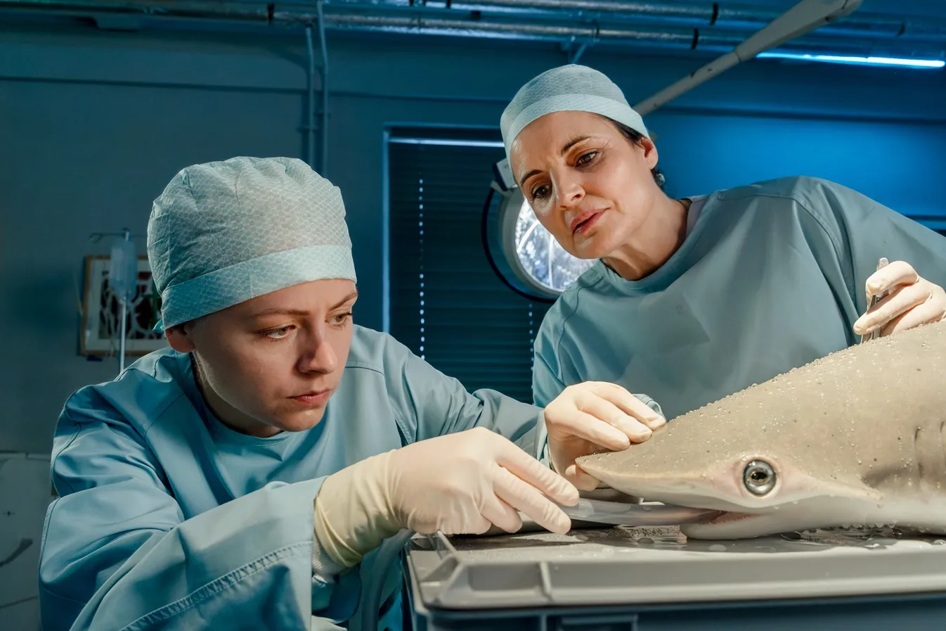 Uwielbiany serial wraca na antenę. Nowe odcinki dziś i jutro