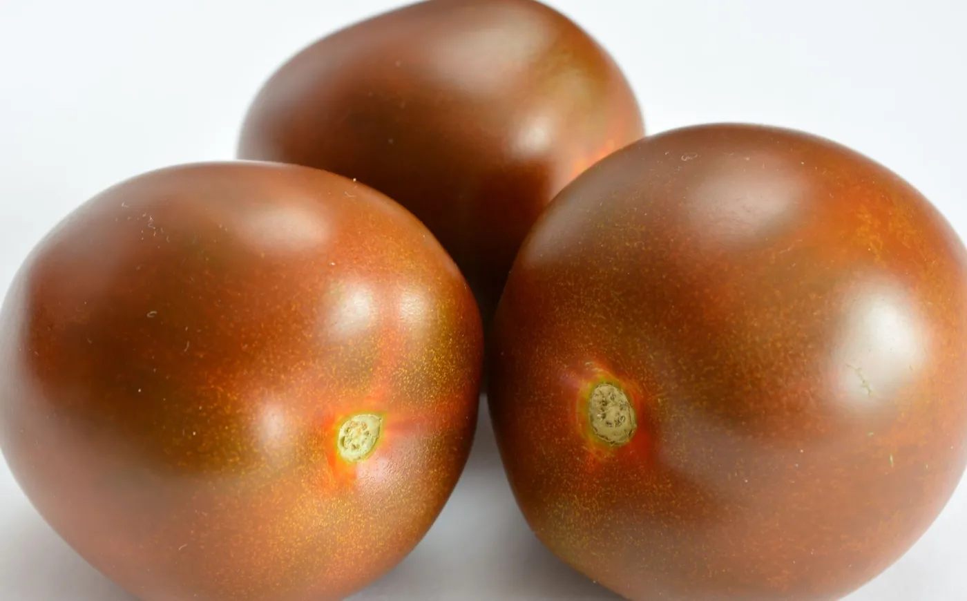 pomidor-odmiana-brown-sugar-39038492.jpg