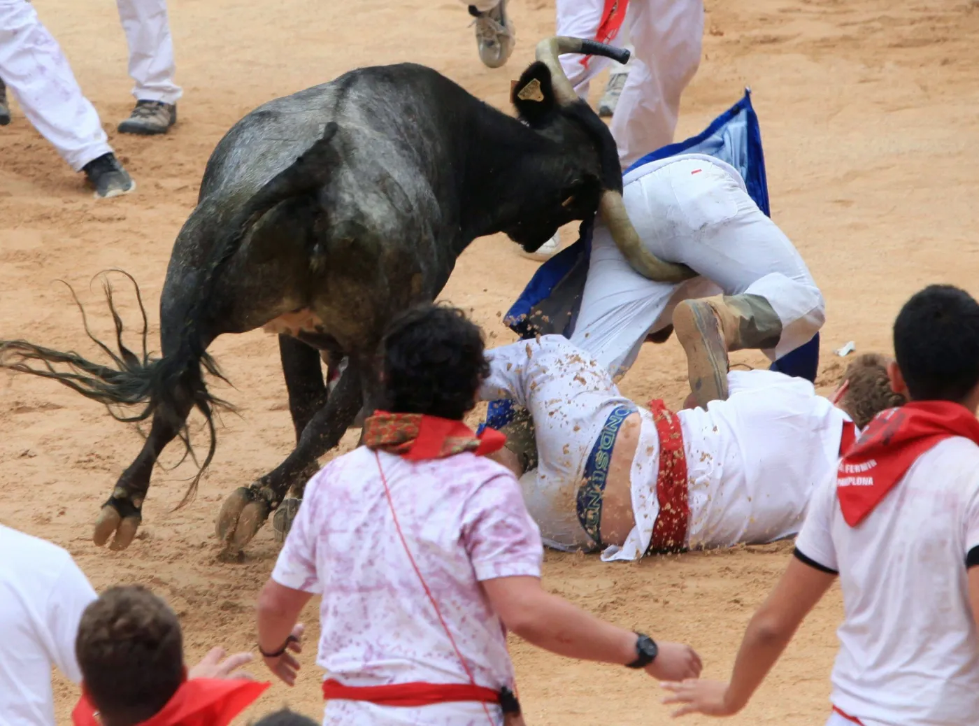 Nie wszyscy uczestnicy gonitwy zdołali uciec przed rogami byków