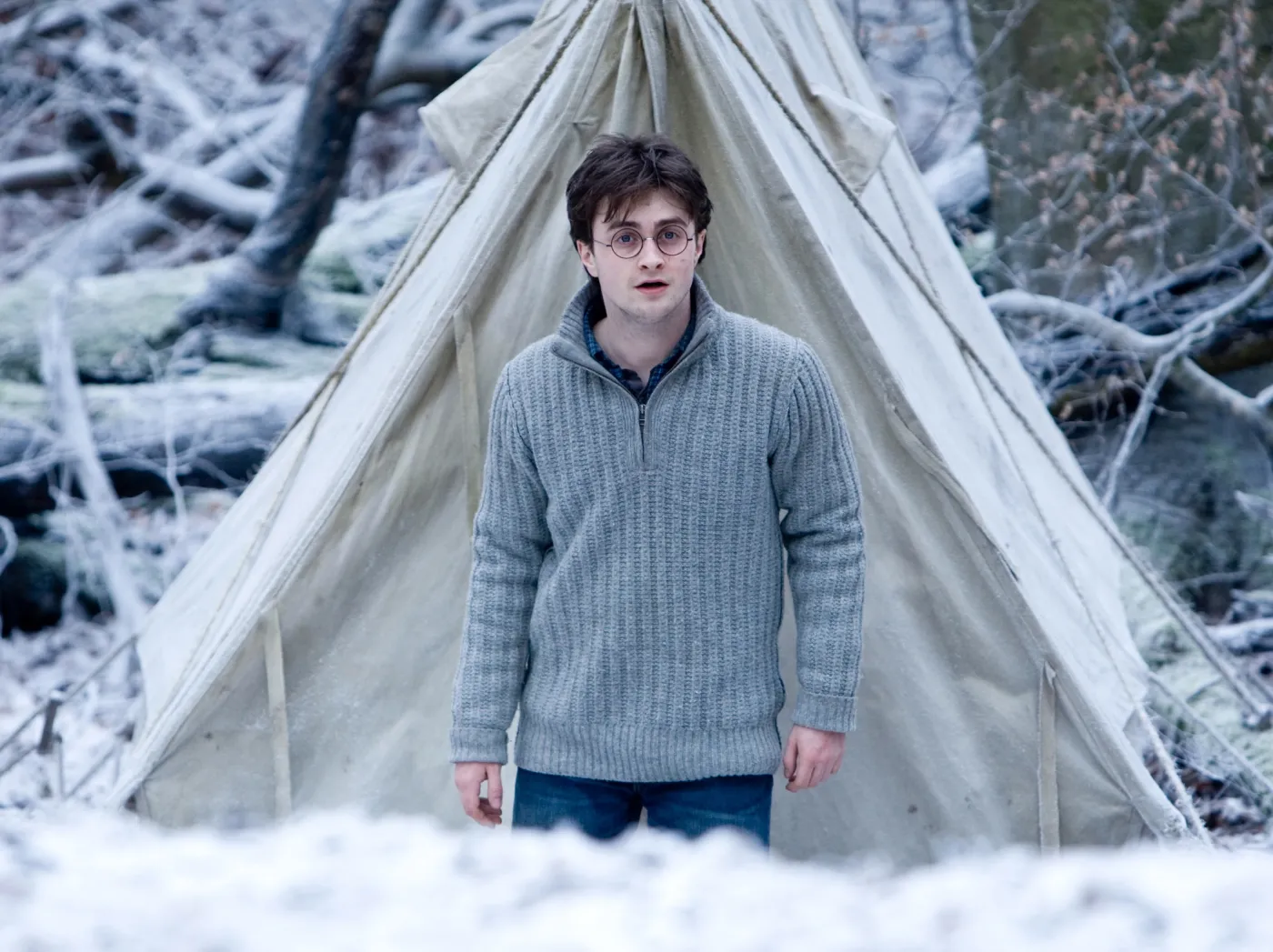 Harry Potter i Insygnia Śmierci: część I