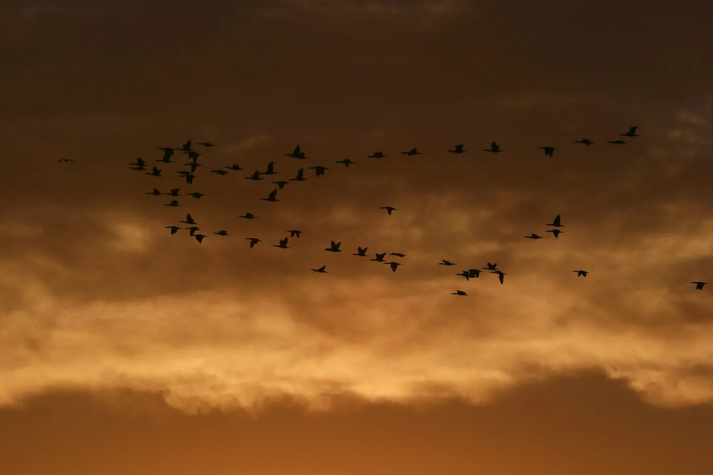 Najkrótszy dzień, ale jaki piękny