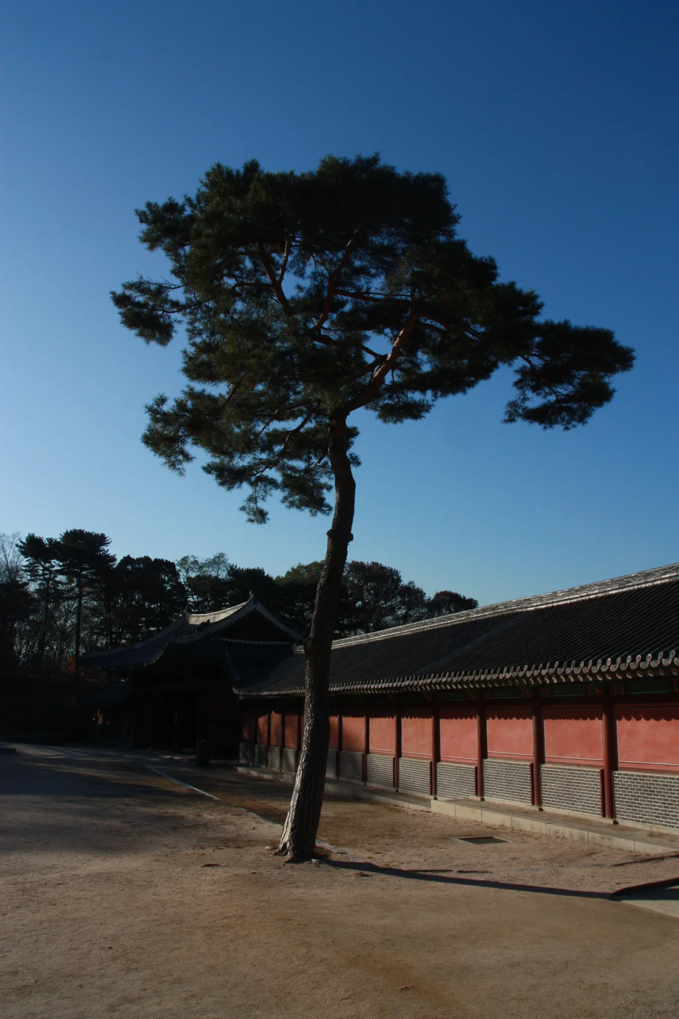4377752-palac-changdeokgung-seul-korea.jpg