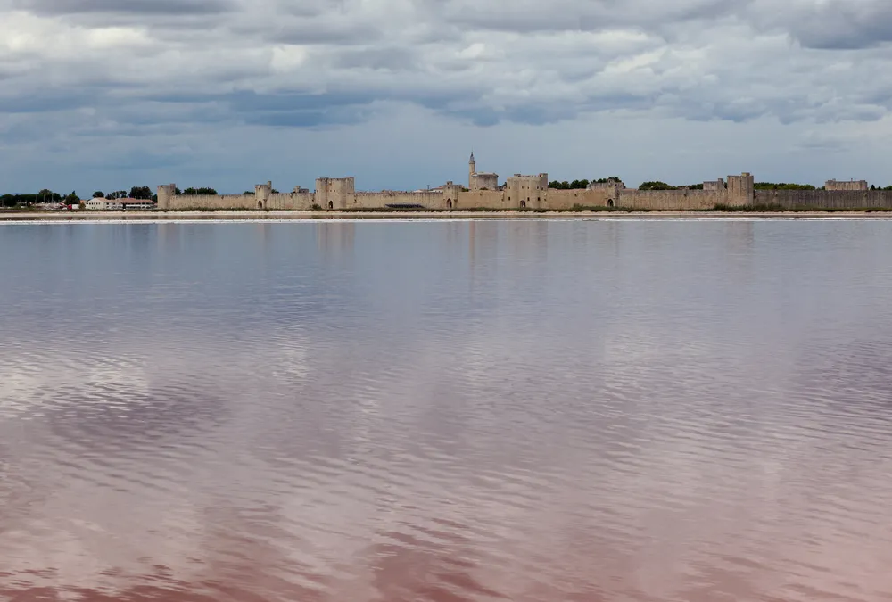 Czerwone jezioro w Camargue we Francji
