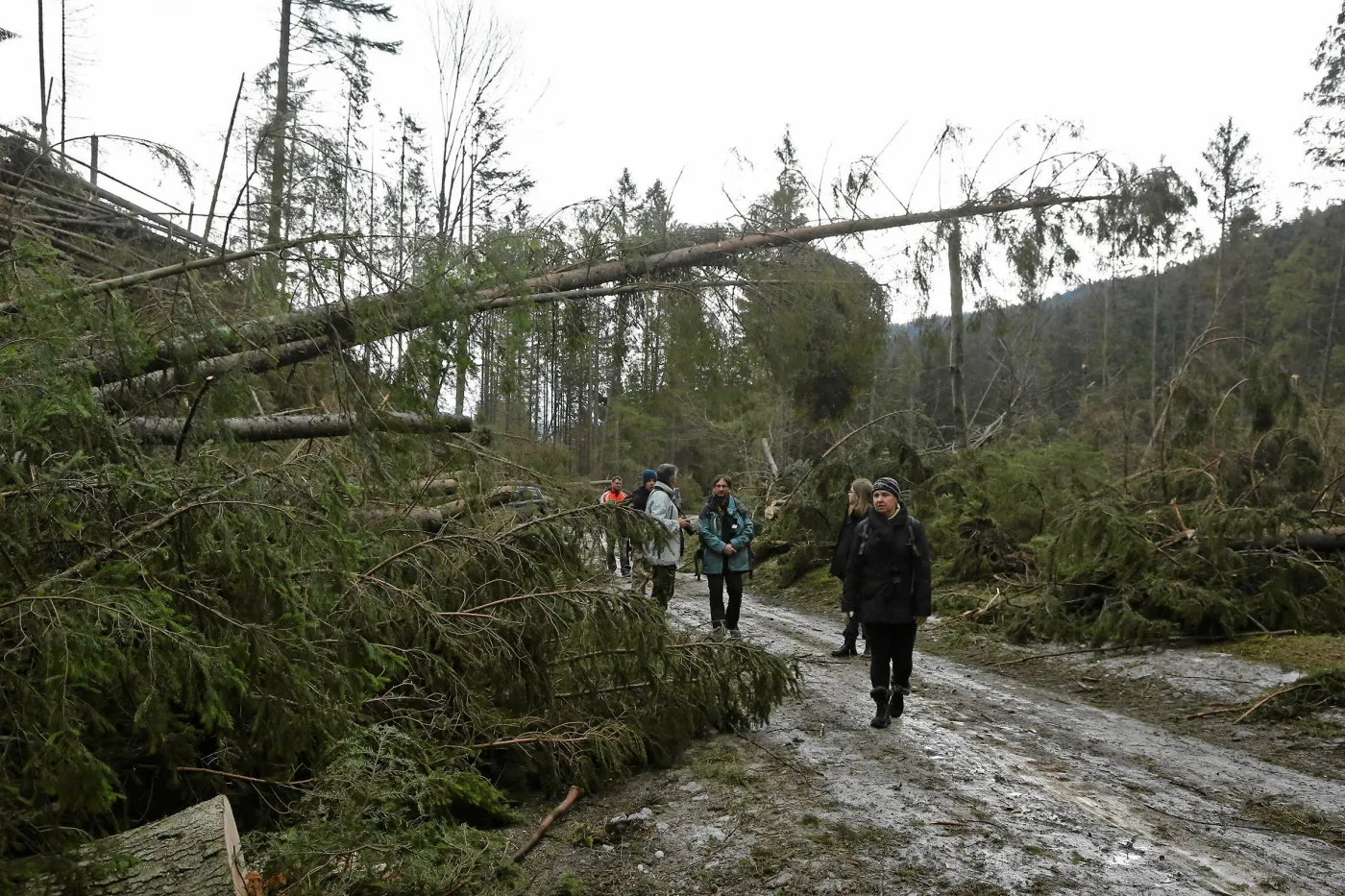 Tatry po przejściu halnego. Turyści ignorują zakazy wstępu