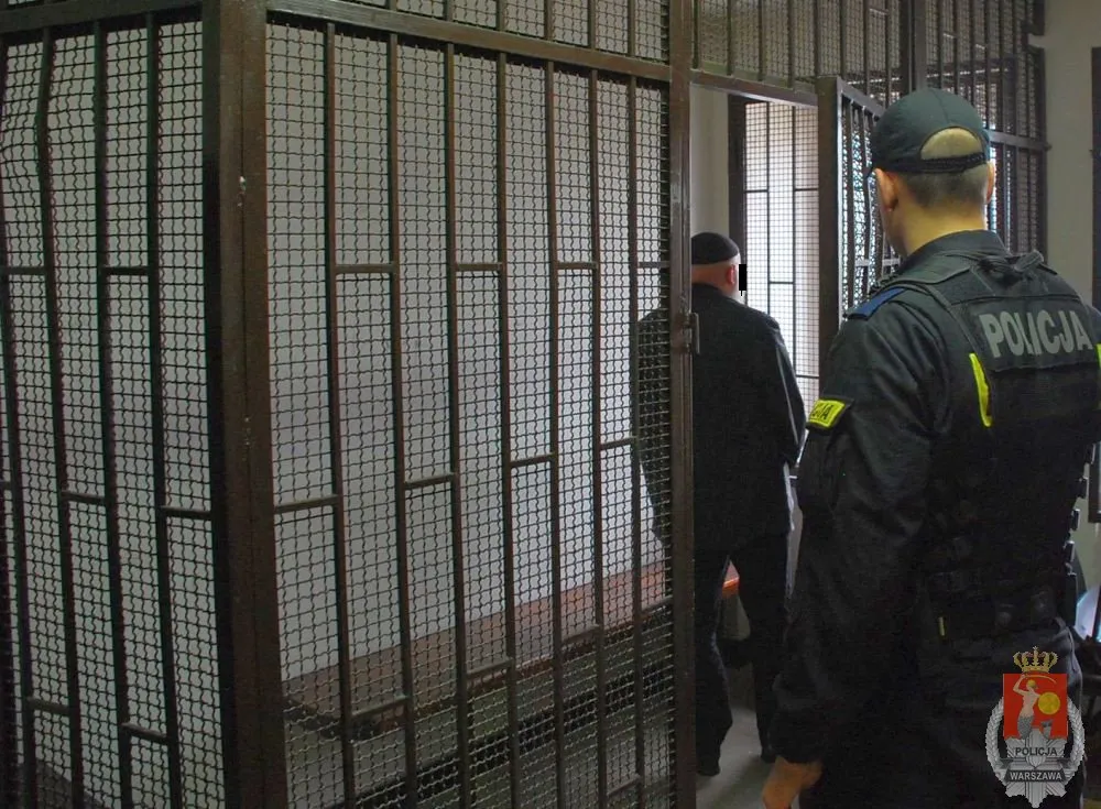 5563271-oszust-ukrywal-sie-w-przebraniu.jpg