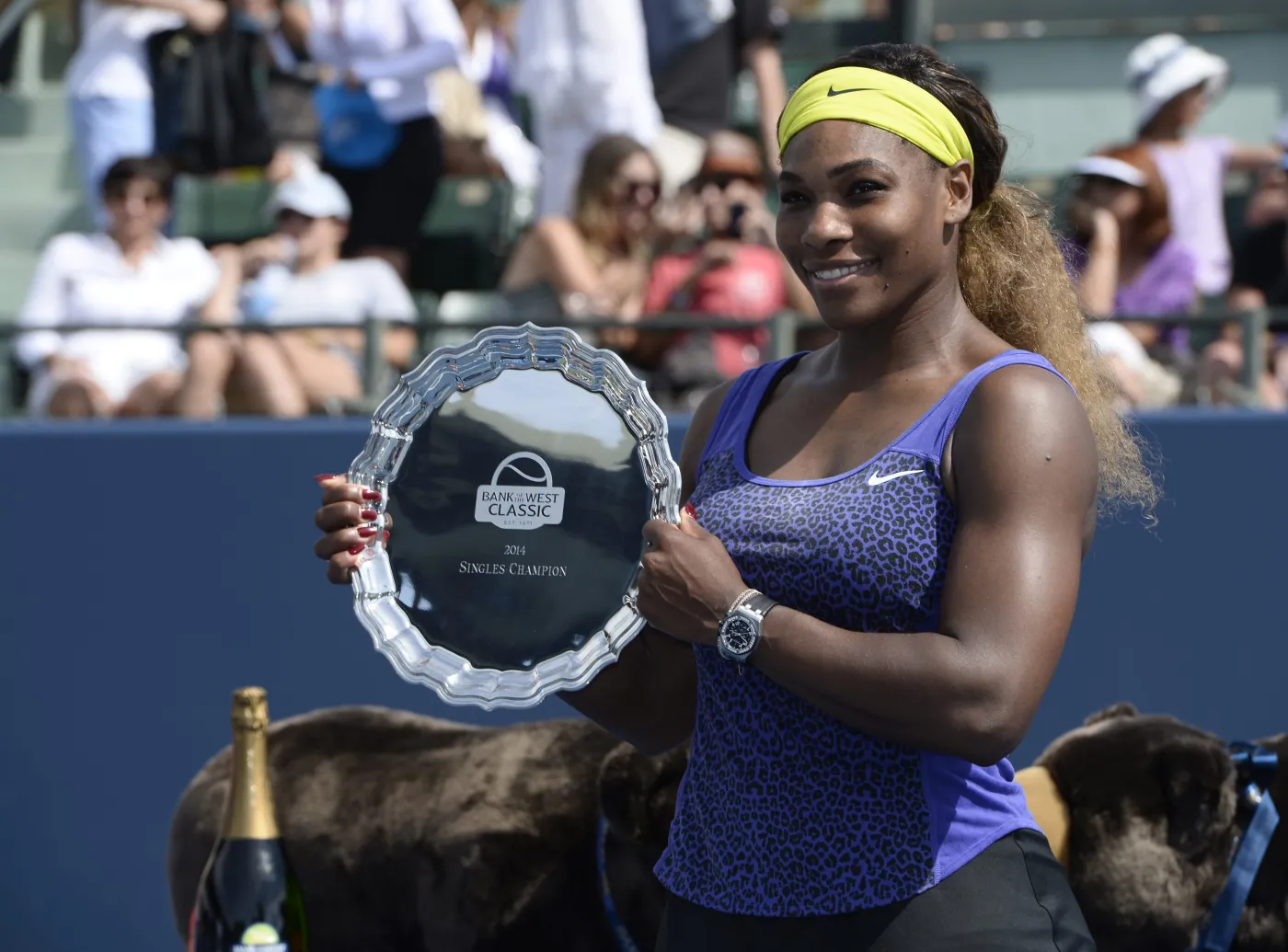 6636392-serena-williams-ma-tak-wielkie.jpg