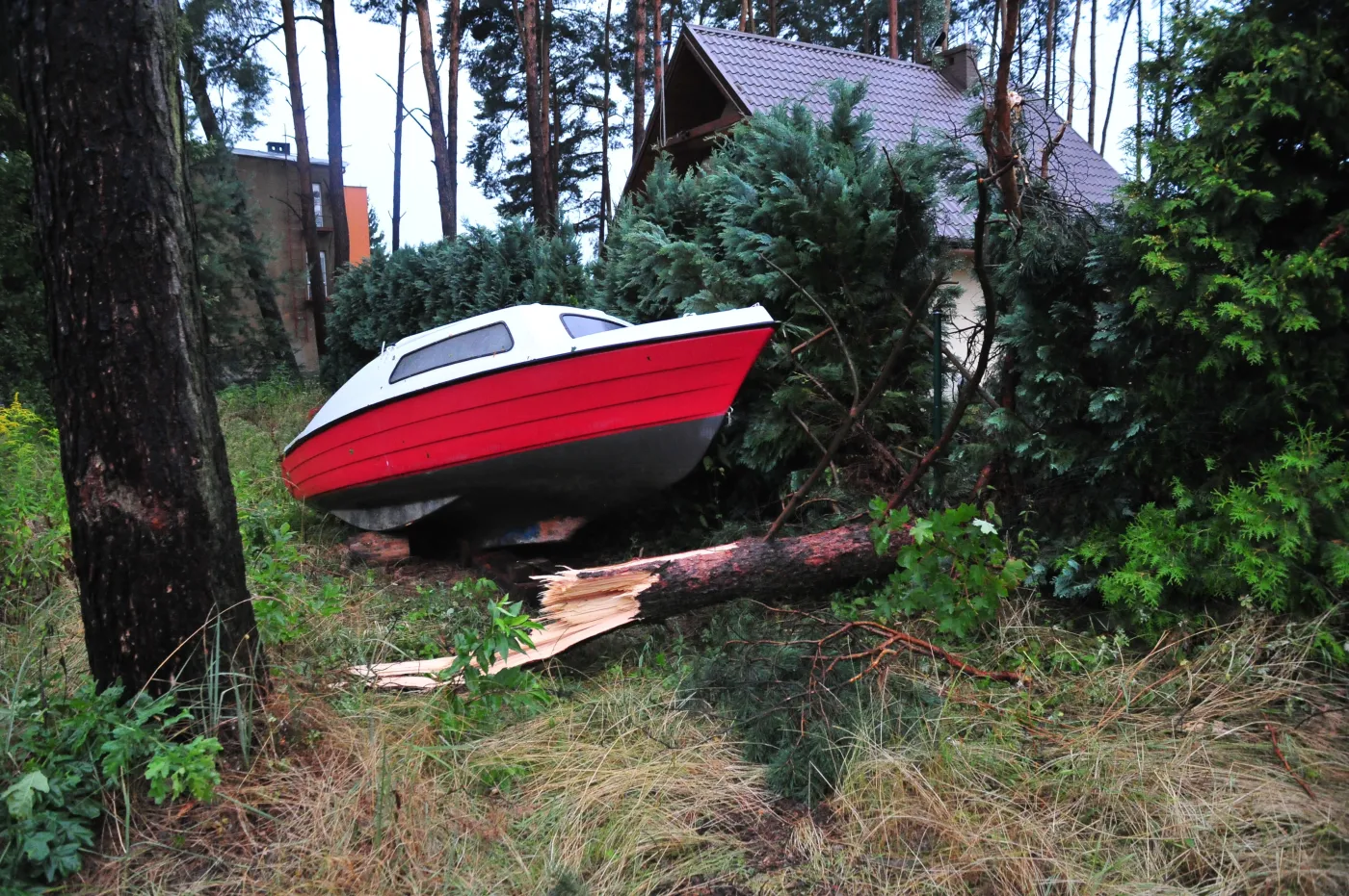 Zniszczenia nad jeziorem Miedwie. Skutki nawałnicy, jaka przeszła nad województwem zachodniopomorskim