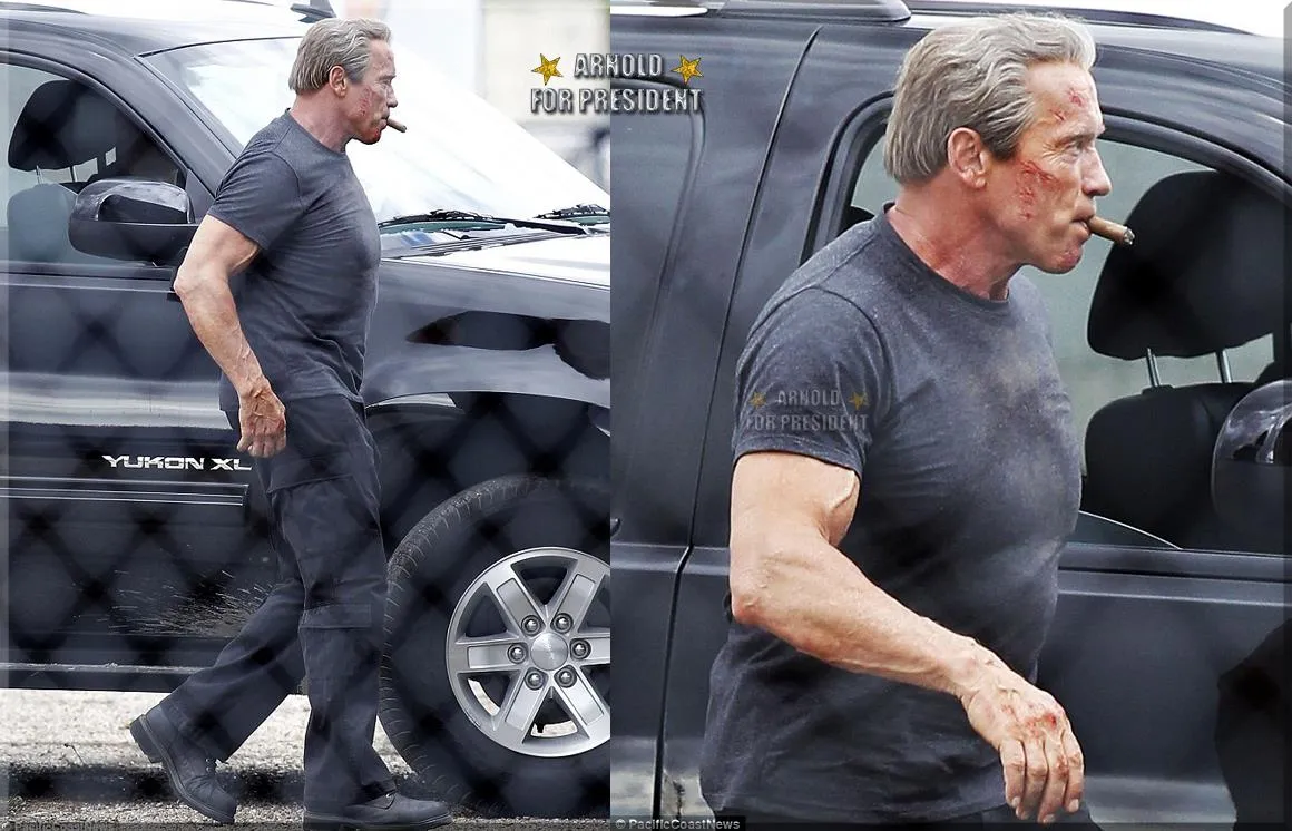 6400654-arnold-schwarzenegger-na-planie.jpg