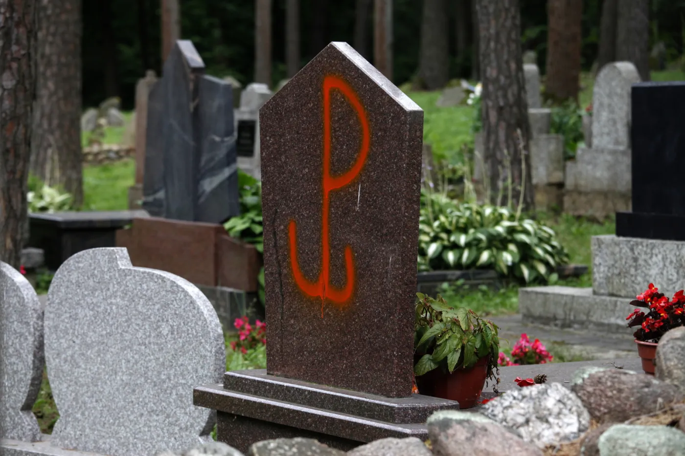 Zdewastowali meczet na Podlasiu. Świnia i symbol Polski Walczącej. ZDJĘCIA