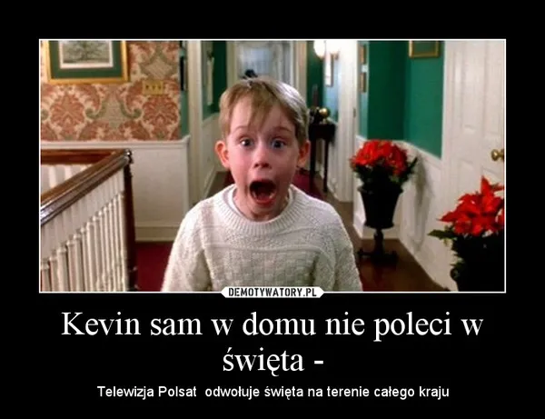 7232456-kevin-sam-w-domu-najlepsze-memy.jpg