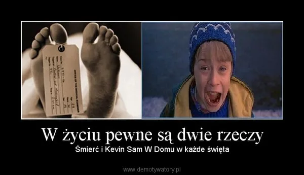 7232339-kevin-sam-w-domu-najlepsze-memy.jpg
