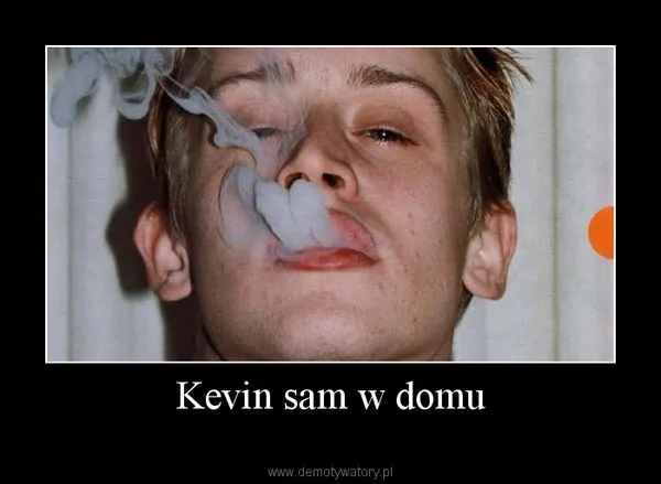 7232362-kevin-sam-w-domu-najlepsze-memy.jpg
