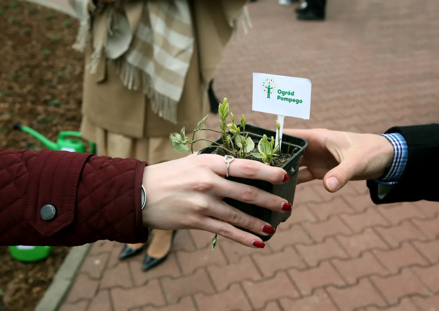 "Ogród Pompego" otwarto na terenie Warszawskiego Uniwersytetu Medycznego