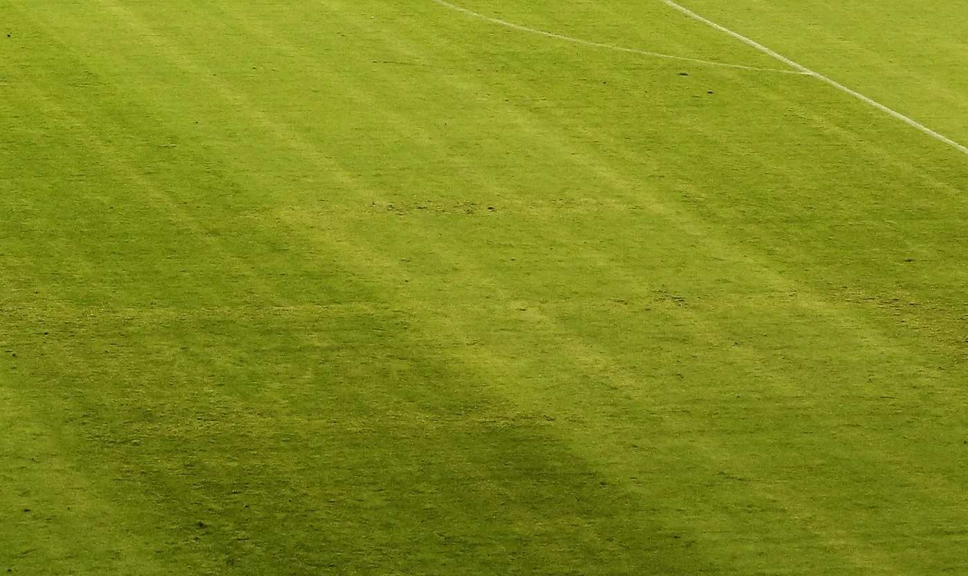 7871470-swastyka-na-murawie-stadionu-w.jpg