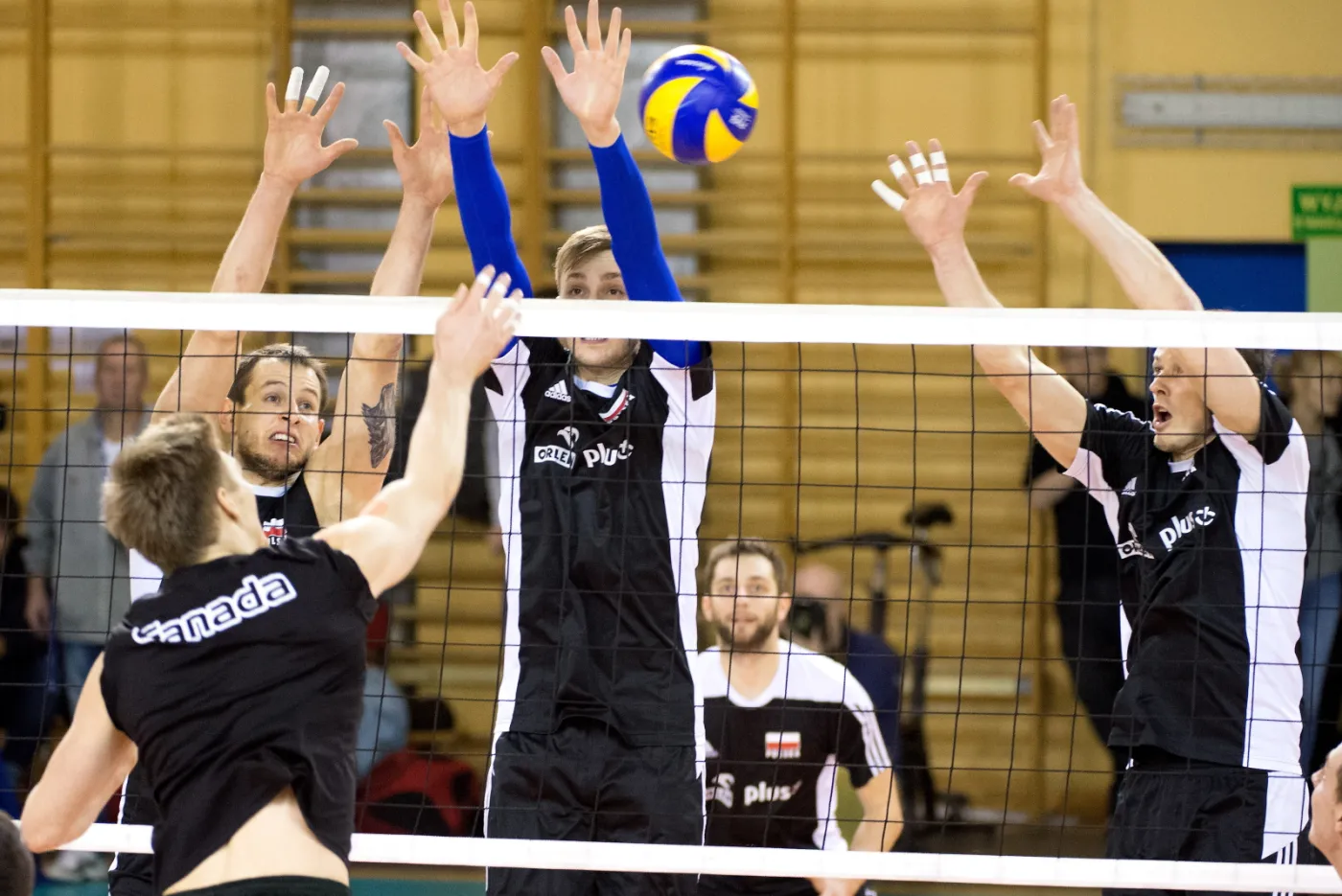 Zawodnicy reprezentacji Polski (w głębi, od lewej): Bartosz Kurek, Mateusz Bieniek i Rafał Buszek, podczas sparingu z drużyną Kanady w Spale