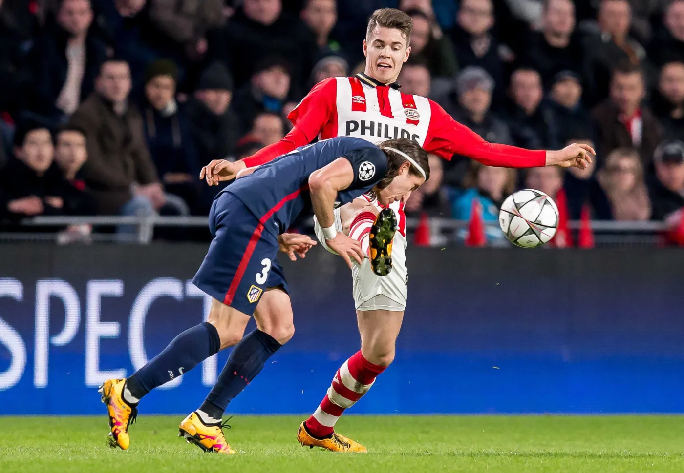 Marco van Ginkel i Filipe Luis