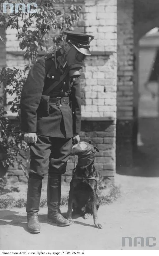 8942047-przedwojenni-polscy-policjanci.jpg