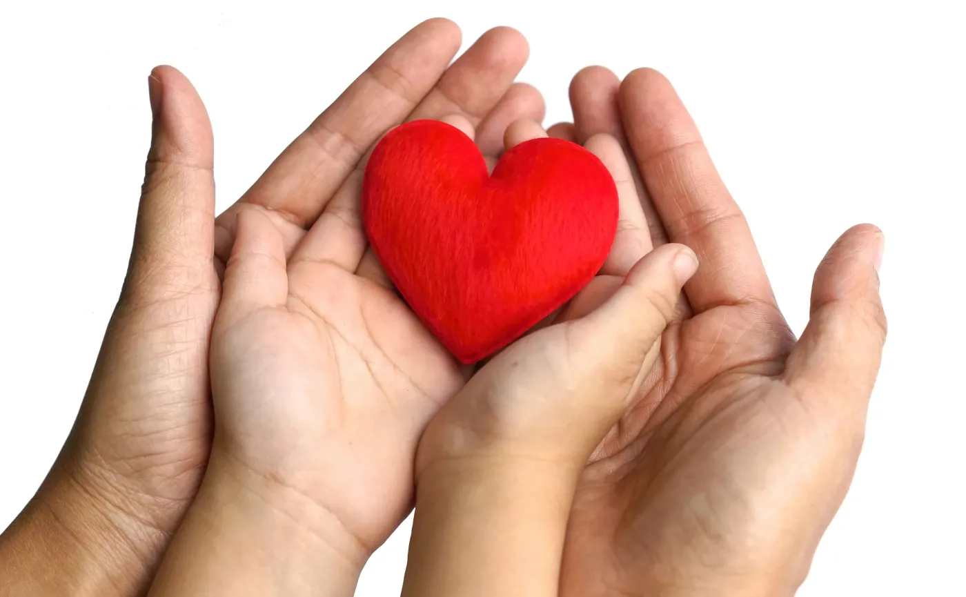 Małe serce w dłoniach dorosłego i dziecka