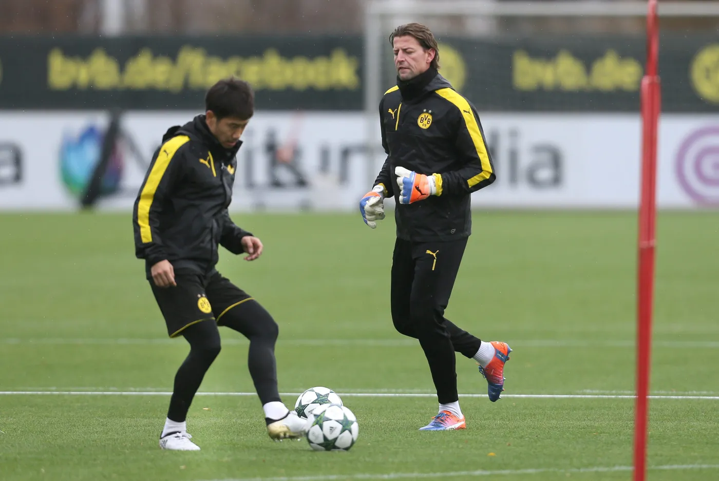 Piłkarze Borussii Dortmund, Roman Weidenfeller i Shinji Kagawa