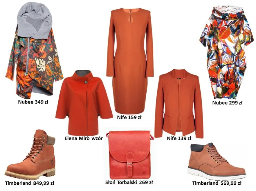 9530242-ubrania-i-dodatki-na-jesien-2016.jpg