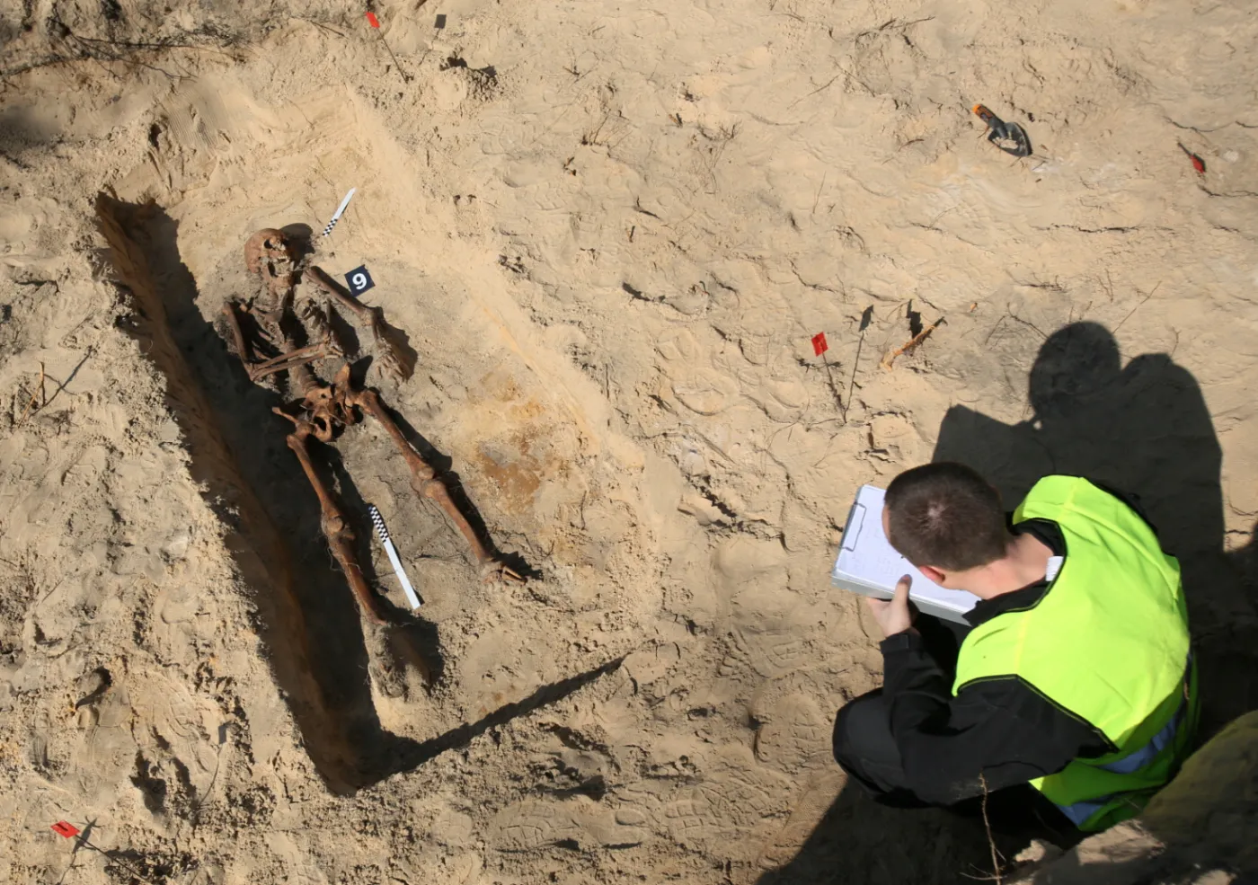 Kości, szkielety, czaszki... Archeolodzy z IPN znaleźli na Bródnie szczątki ofiar komunistów