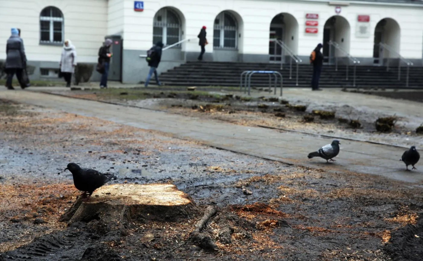 Skwer u zbiegu Nowogrodzkiej i Poznańskiej przed Urzędem Dzielnicy Śródmieście