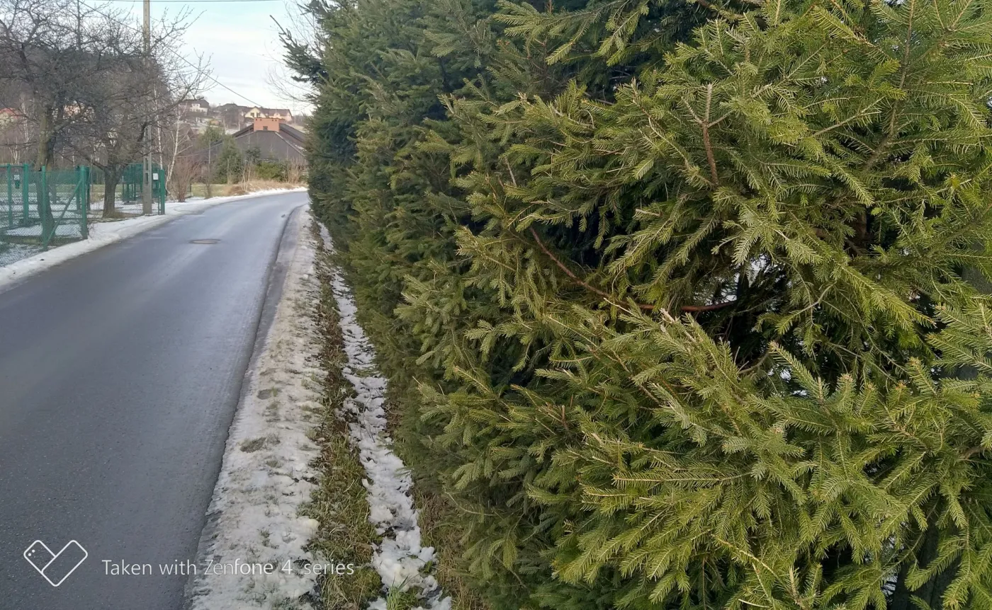 10789158-zdjecie-wykonane-asusem-zenfone.jpg
