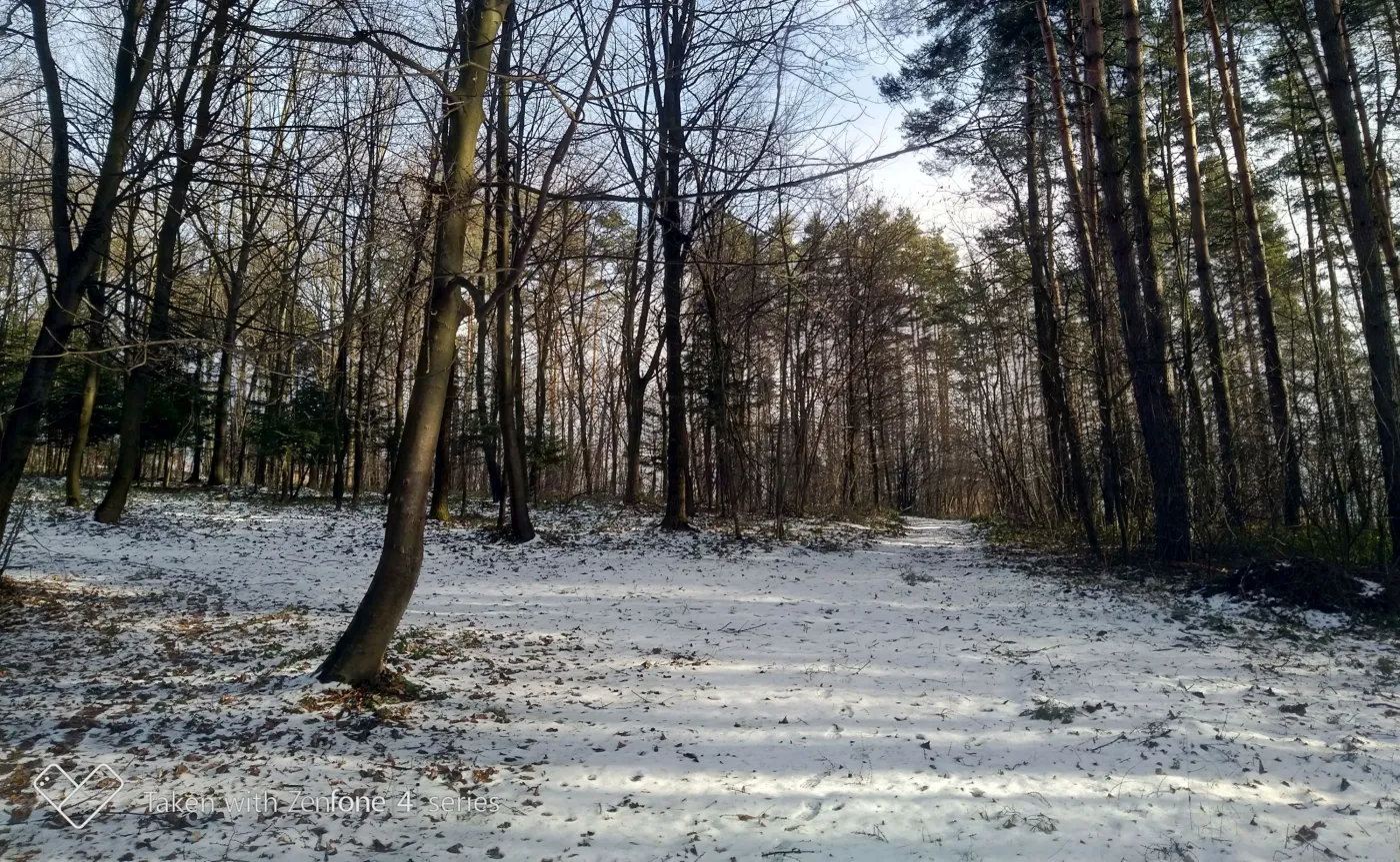 10789254-zdjecie-wykonane-asusem-zenfone.jpg
