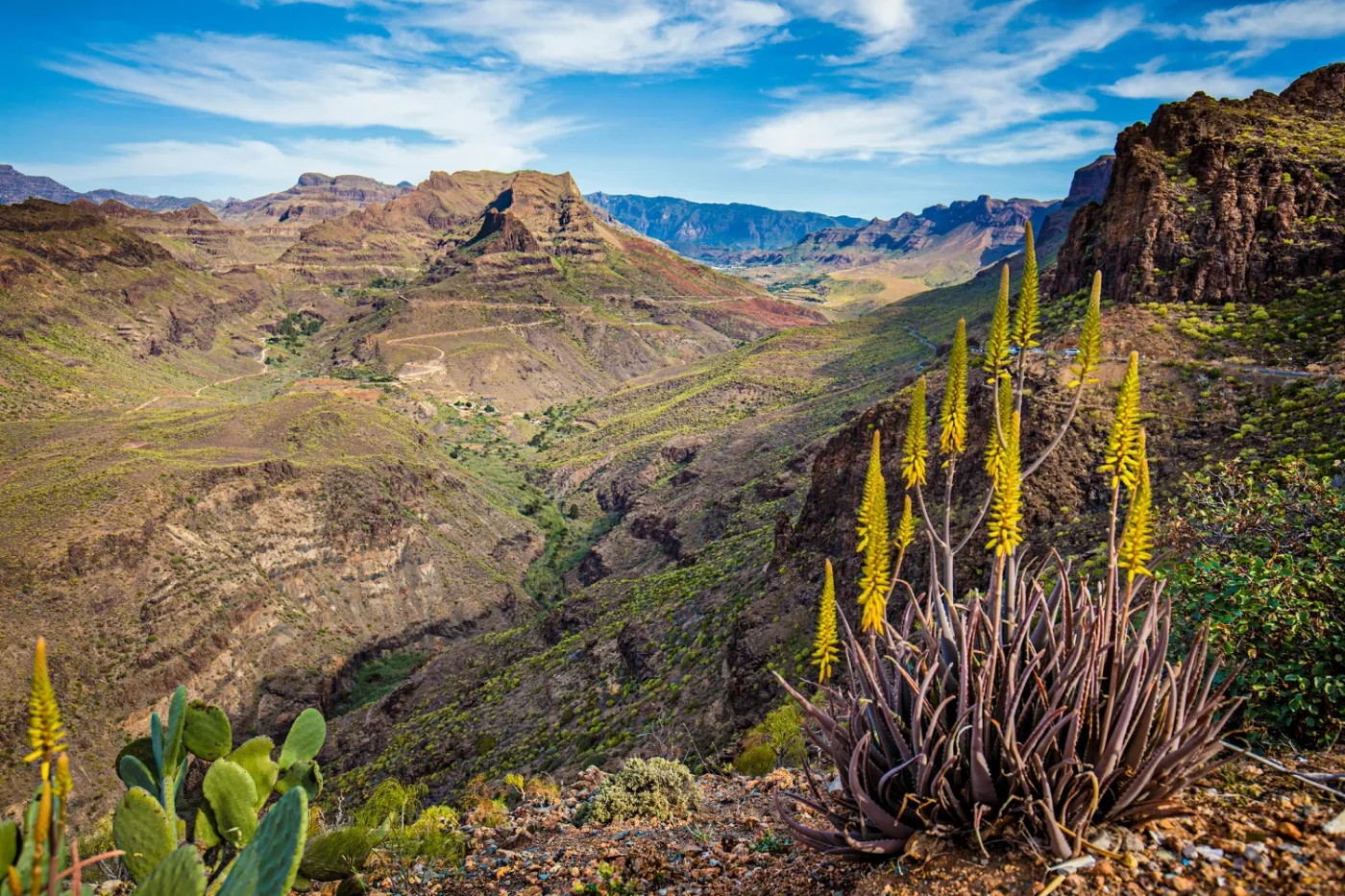 10536526-gan-canaria-dolina-degollada-de.jpg
