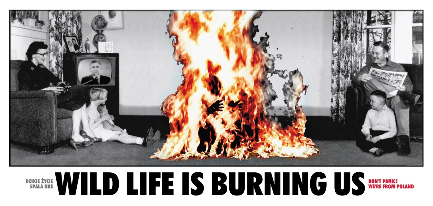 10555914-jacek-staniszewski-dzikie-zycie.jpg