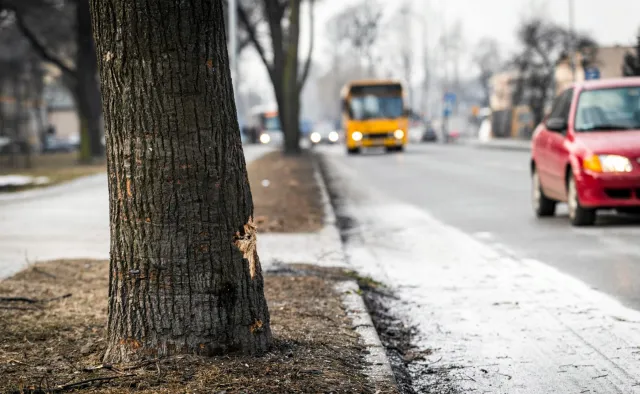 Minister Ziobro nie odpuszcza wypadku Szydło. "Nic tu nie będzie ukryte"