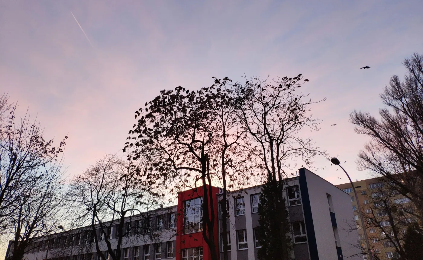 11825957-zdjecie-zrobione-telefonem-mi.jpg