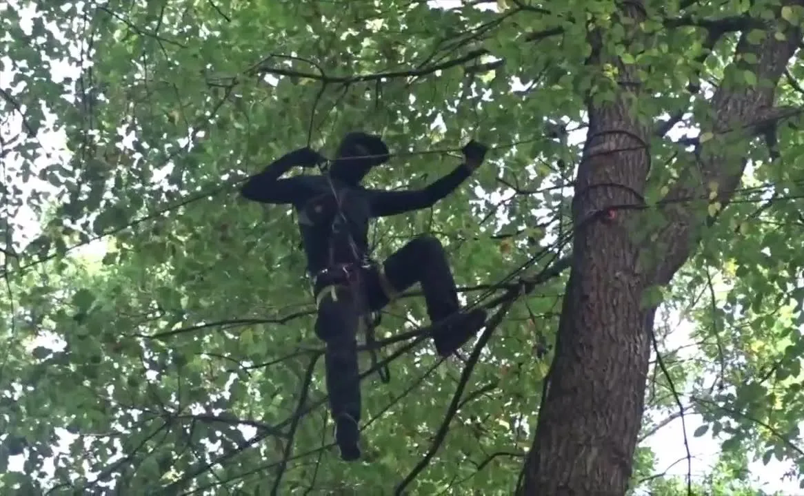 Niemieccy ekolodzy na drzewach