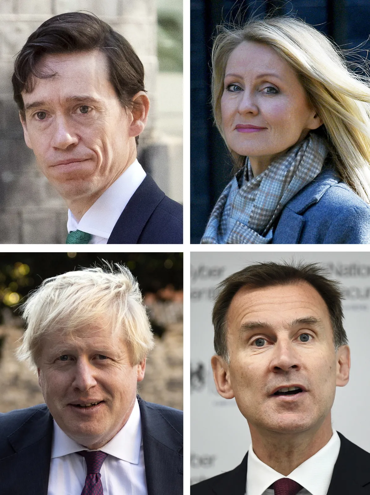 12351424-rory-stewart-esther-mcvey-boris.jpg