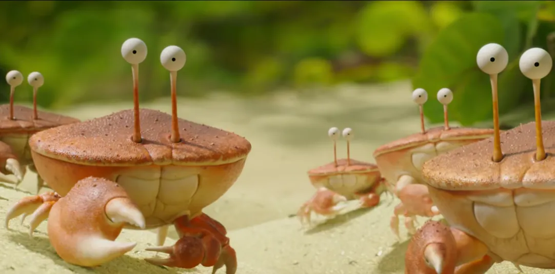 "Robaczki z zaginionej dżungli"  