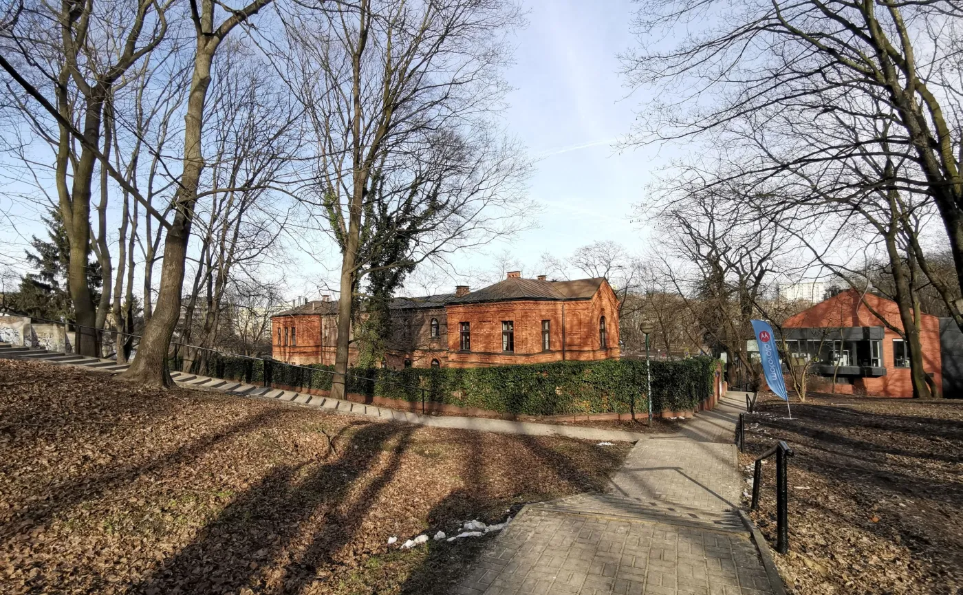 12145544-zdjecie-wykonane-huaweiem-mate.jpg