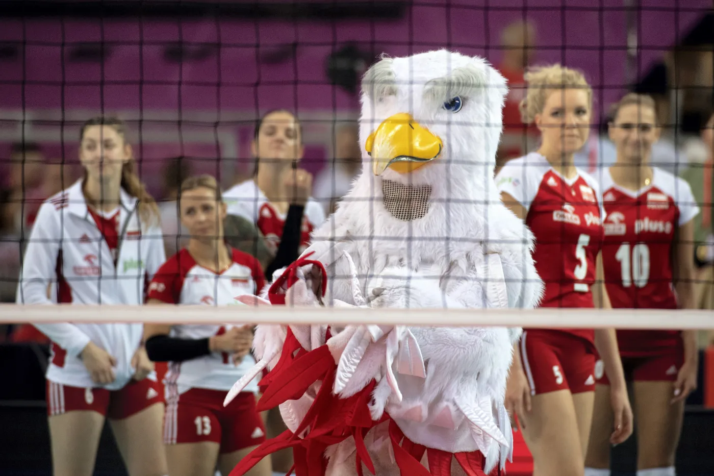 Maskotka reprezentacji Polski