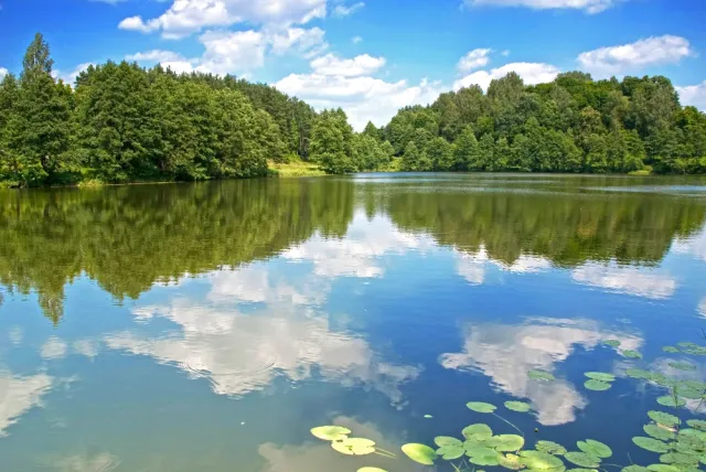 Tragedia nad zalewem. Utonęły trzy osoby, w tym 6-latka [WIDEO]