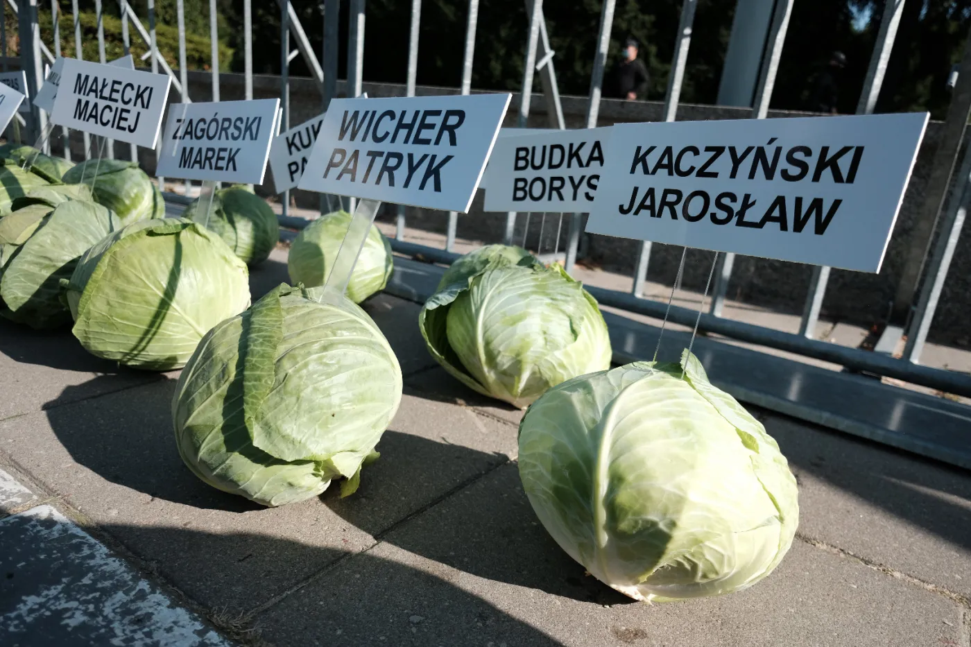 "Zdrajcy Polskiej Wsi". Happening z 356 główkami kapusty przed Sejmem