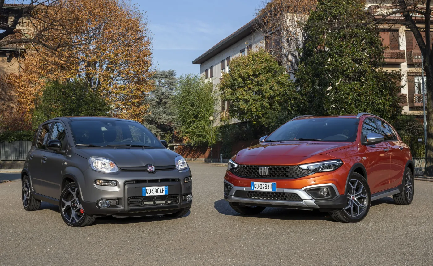 fiat-panda-sport-i-tipo-cross-31215282.jpg