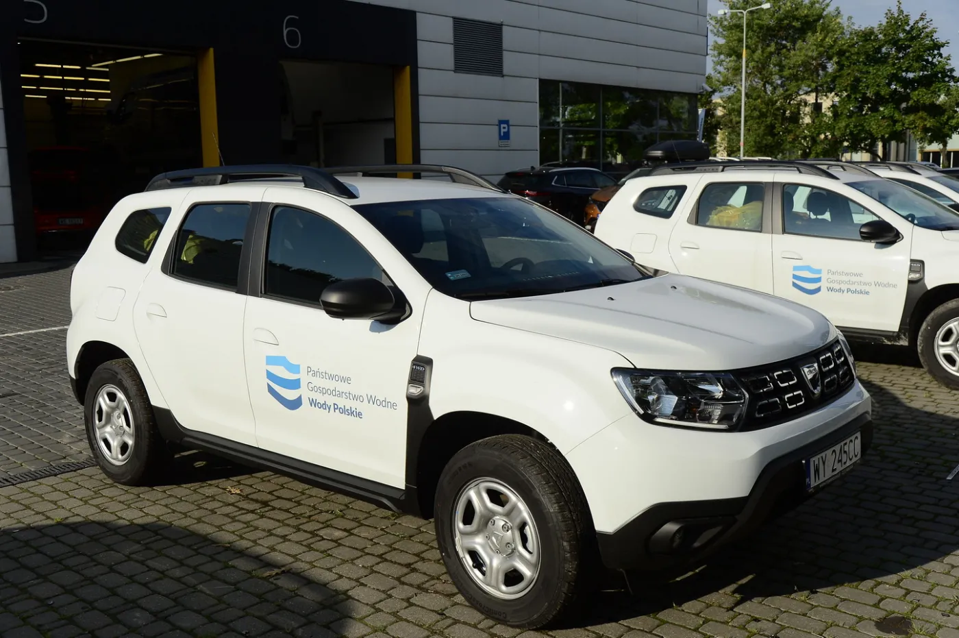 dacia-duster-w-pgw-wody-polskie-37225334.jpg