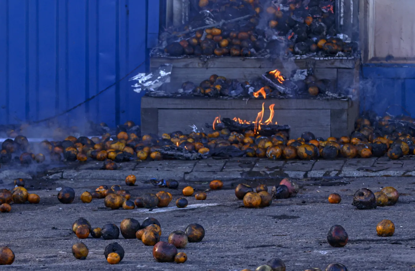 Ekspertka OSW: Niemcy powinny rozliczyć się ze swojej błędnej polityki wobec Rosji