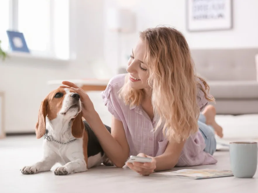 Zadecydowane! Przyszli właściciele psów będą musieli przejść szkolenie z opieki nad nimi